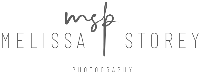 msp-logo2cropped