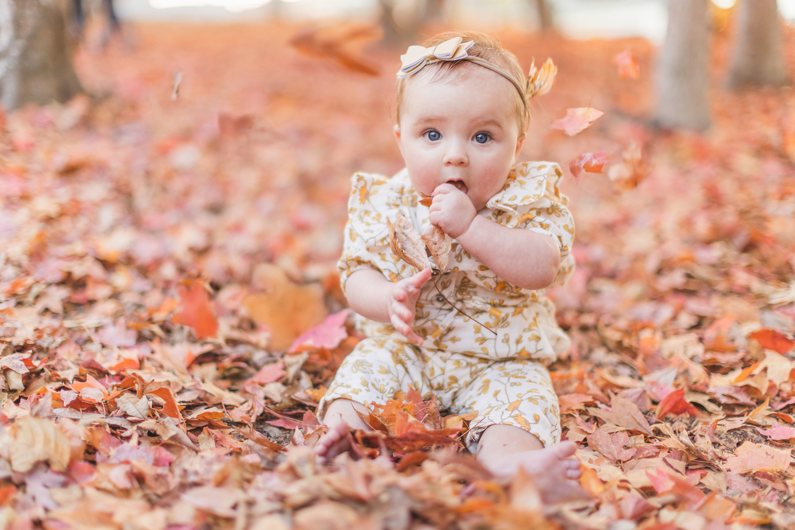 Charlotte NC. six month old id sitting in red leaves. Leaves are falling. fall mini session